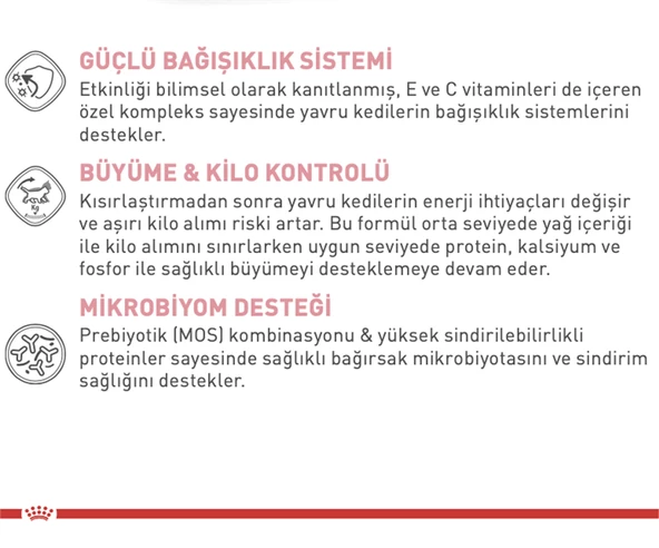 Royal Canin® Sterilised Kitten Kısırlaştırılmış Yavru Kedi Maması 2 Kg - 2