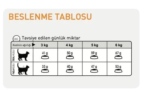 Royal Canin® Hair & Skin Care Yetişkin Kedi Yaş Maması 85 Gr *12 - 3