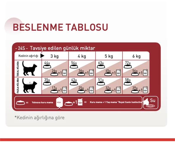 Royal Canin® Fit 32 Yetişkin Kedi Maması 2 Kg - 3
