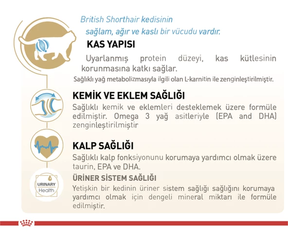 Royal Canin® British Shorthair Yetişkin Kedi Maması 10 Kg - 2