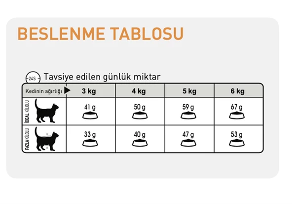 Royal Canin® Hair & Skin Care Yetişkin Kedi Maması 2 Kg - 3