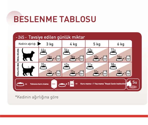 Royal Canin® Fit 32 Yetişkin Kedi Maması 4 Kg - 3