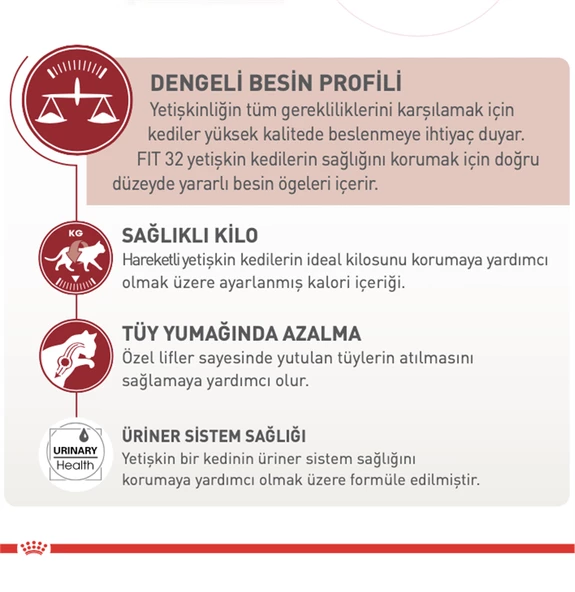 Royal Canin® Fit 32 Yetişkin Kedi Maması 4 Kg - 2