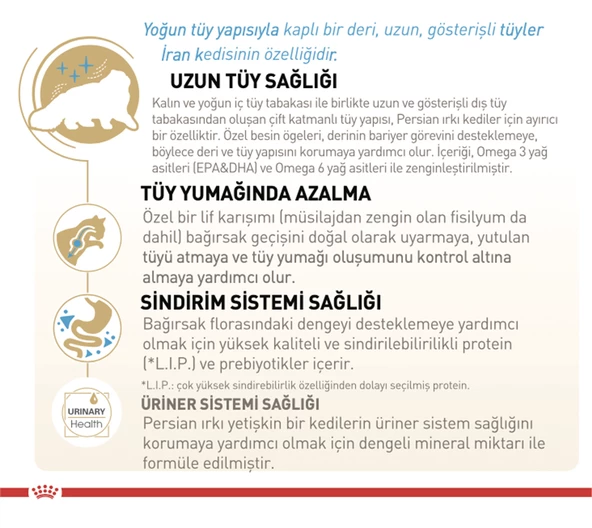 Royal Canin® Persian Yetişkin Kedi Maması 2 Kg - Resim 2