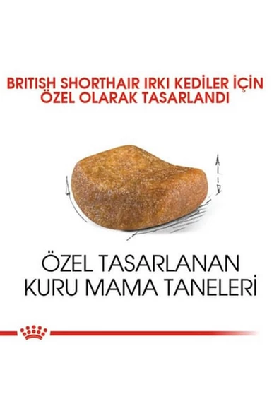 Royal Canin® British Shorthair Yetişkin Kedi Maması 2 Kg - 2