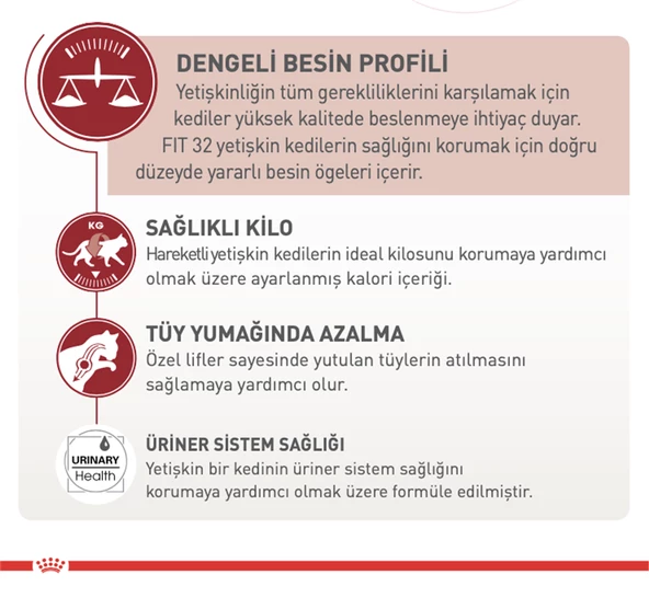 Royal Canin® Fit 32 Yetişkin Kedi Maması 15 Kg - Resim 2