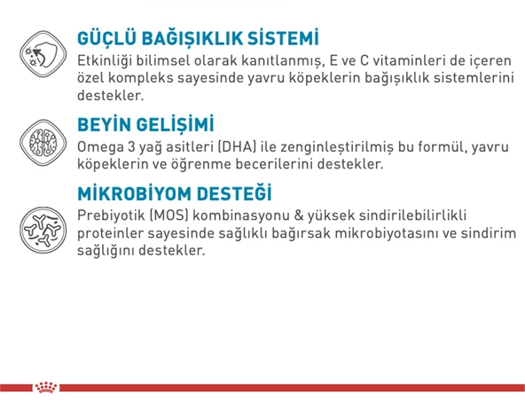 Royal Canin® Mini Puppy Yavru Köpek Maması 4 Kg - 2