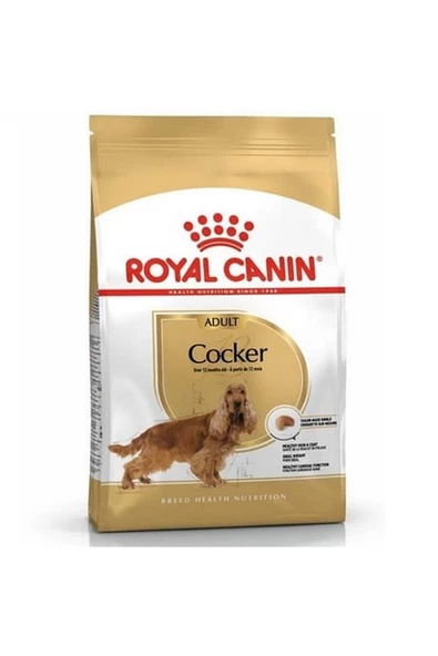 Royal Canin®  Cocker Adult 3 Kg ürün görseli 1