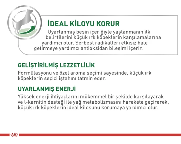 Royal Canin® Mini Yetişkin Köpek Maması 4 Kg - Resim 2
