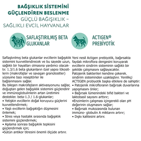 Optimeal Super Premium Hypoallergenic Orta ve Büyük Irk Yetişkin Köpek Maması 4 Kg - 4