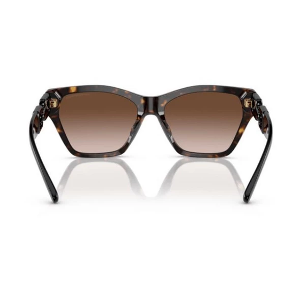 Emporio Armani 0EA4203U 50261355 Asetat Kadın Güneş Gözlüğü - Resim 3