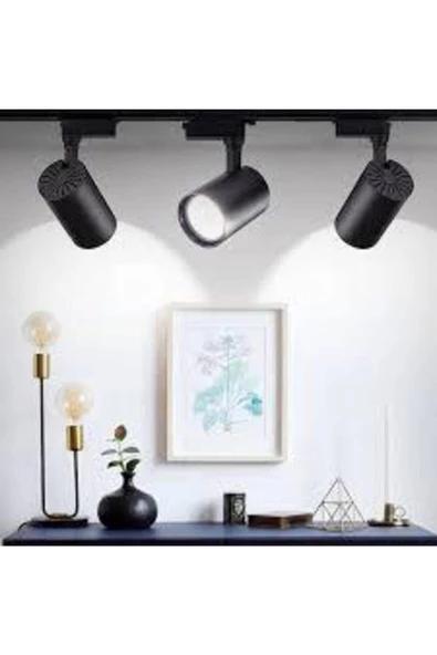 1 Metre Raylı 3 Adet Ray Spot Beyaz Işık Siyah Kasa - 3