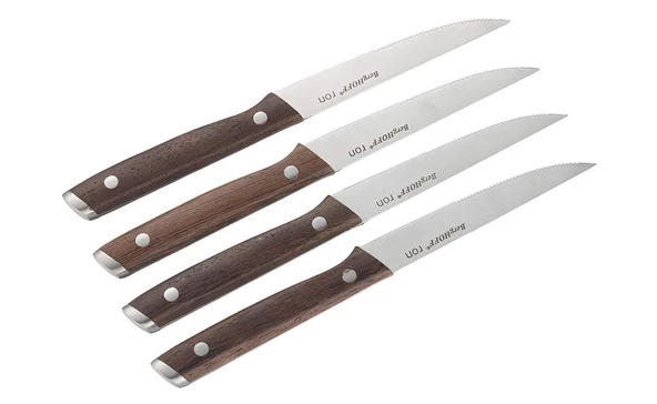 Berghoff 3904108 Ron 4 Parça Bıçak Seti