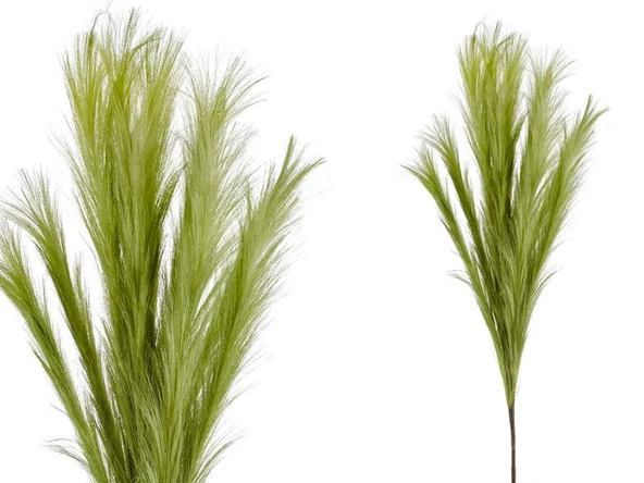 Lamedore Roven Yeşil 106 cm (12) ürün görseli