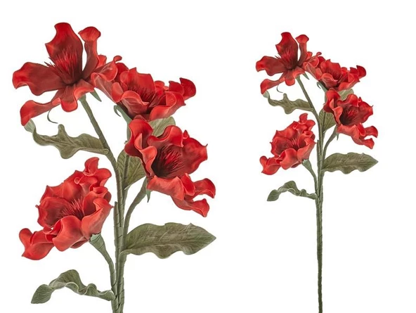 Lamedore Kokoş Çiçeği Kırmızı 100 Cm