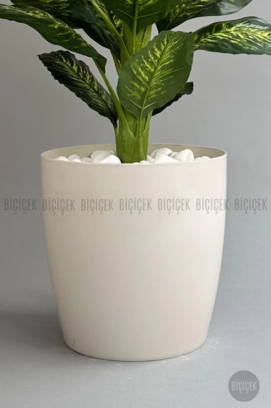 BİÇİÇEK YAPAY AĞAÇ DİFENBAHYA BAMBU GÖVDELİ 180CM BÜYÜK BOY KIRIKBEYAZ RENK YAKUT SAKSIDA - 2