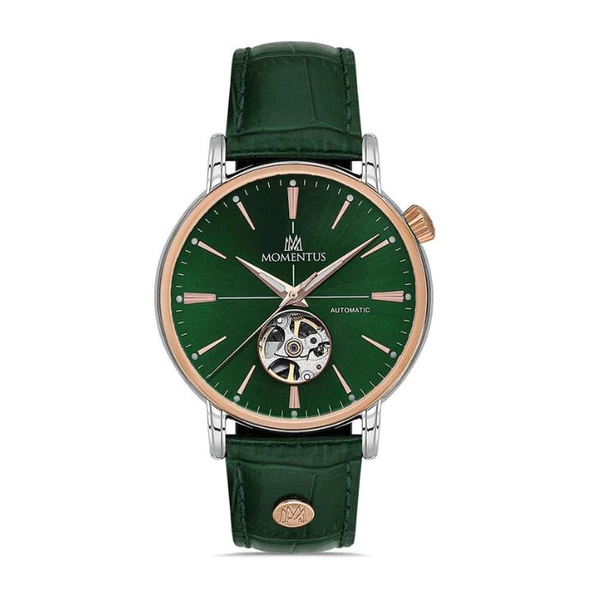 Momentus TM349T-15YR   Erkek Kol Saati ürün görseli