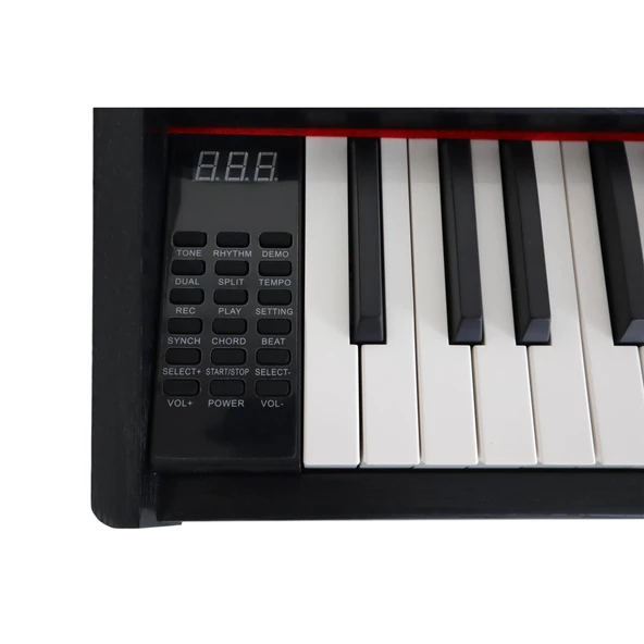 Jwin Sapphire SDP-100 Tuş Hassasiyetli 88 Tuşlu Dijital Piyano - Siyah - 4