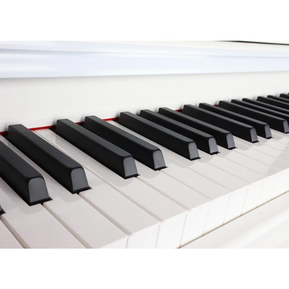 Jwin Sapphire SDP-215 Çekiç Aksiyonlu 88 Tuşlu Dijital Piyano - Beyaz - 2