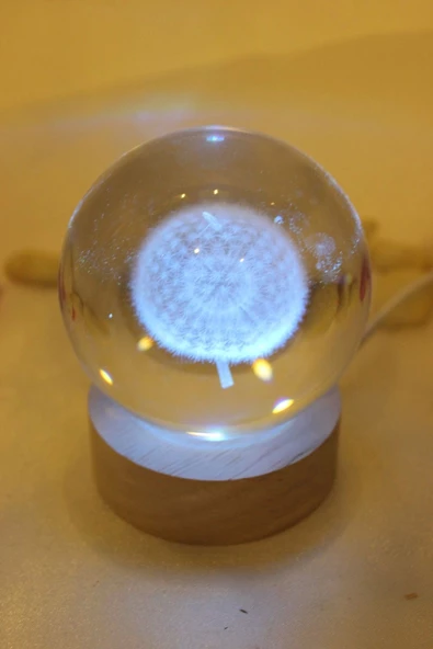 3D Led Işık Cam Küre Çok Işıklı Ahşap Hindiba Çiçeği 6 cm - 2