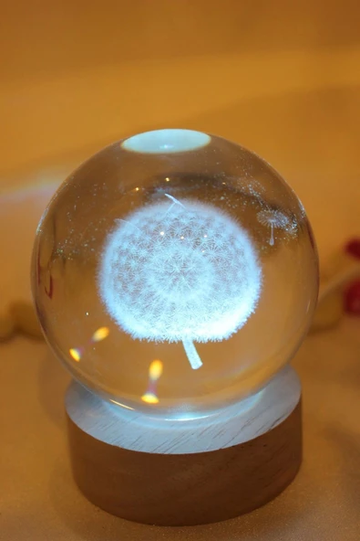 3D Led Işık Cam Küre Çok Işıklı Ahşap Hindiba Çiçeği 6 cm - 8