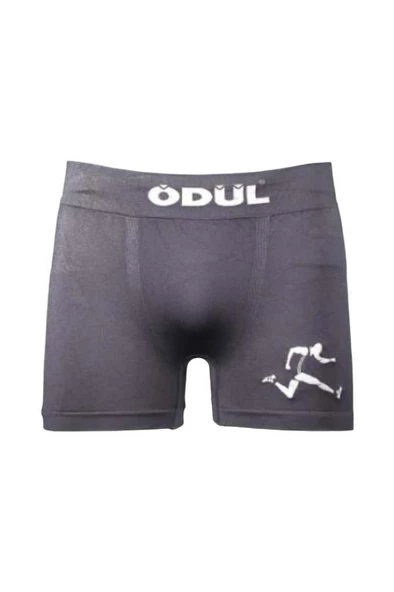 ÖDÜL 2073 ERKEK BOXER ANTRASİT