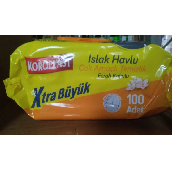 Koroplast Çok Amaçlı Ferah Kokulu Islak Havlu 100'lü - 5