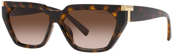 Tiffany & Co. 0TF4205U 80153B  Kadın Güneş Gözlüğü