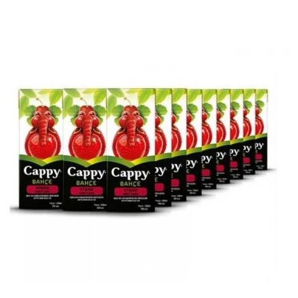 Cappy 200 ml 27'li Paket Vişne Nektarı