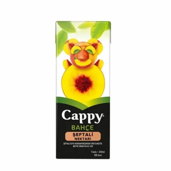 Cappy 200 ml 27'li Paket Şeftali Nektarı