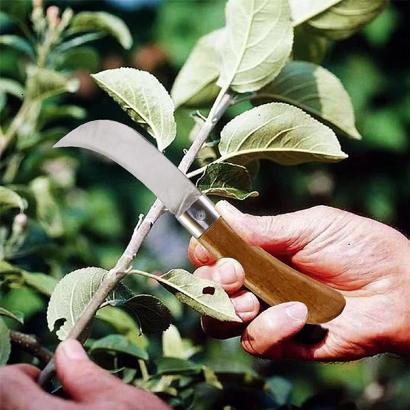 Plastik Saplı Bıçak Çakı Aşı Bıçağı Profesyonel Çelik Eğri Uçlu Bağ Ağaç Budama Aşı Çakısı 220 mm - 3