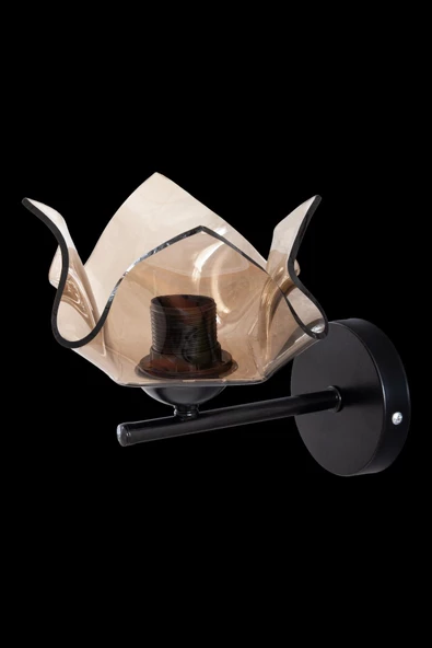 D-light Global Bal Camlı Aplik - 3