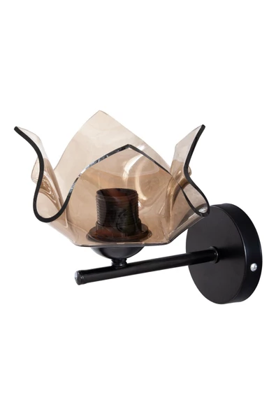 D-light Global Bal Camlı Aplik