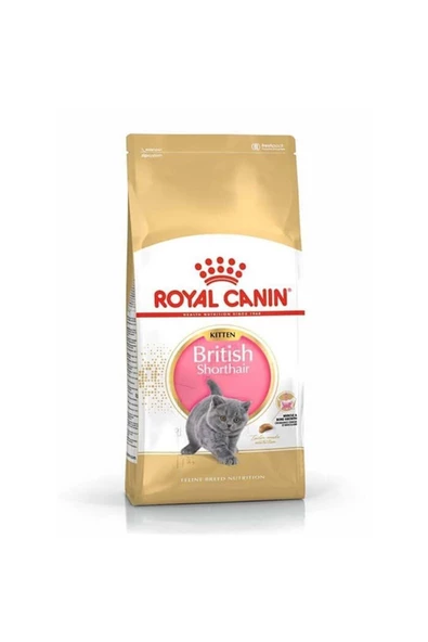 Royal Canin British Shorthair Kitten Kedi Kuru Maması 2 kg