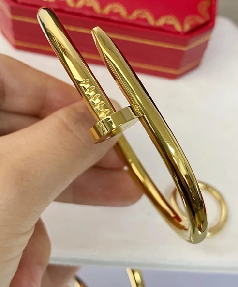 Çivi Taşsız Çelik Kelepçe Sns10050 ürün görseli 1