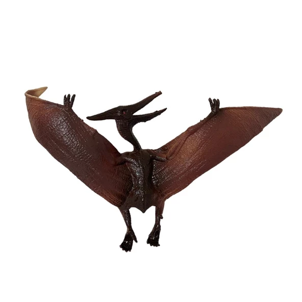 Pterosaur Dinazor 15 Cm - Q603-9 - 2