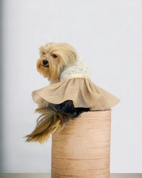 Sun Cream Duo Tütülü Köpek Elbisesi, Kıyafeti Tutu - 7