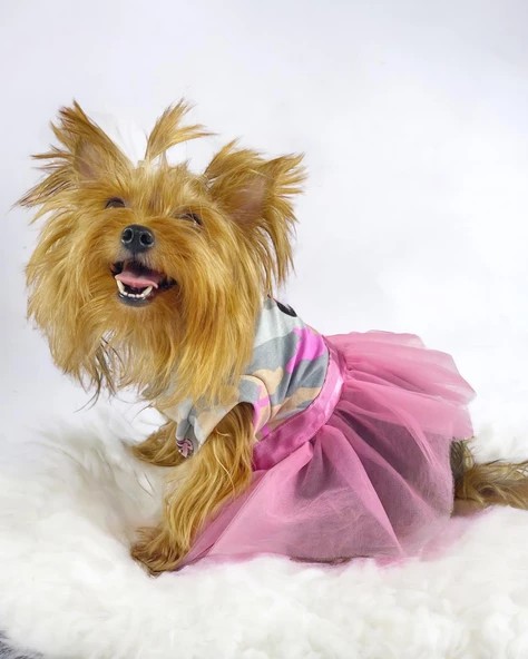 Pinky Minnie Tütülü Köpek Elbisesi, Kıyafeti Tutu