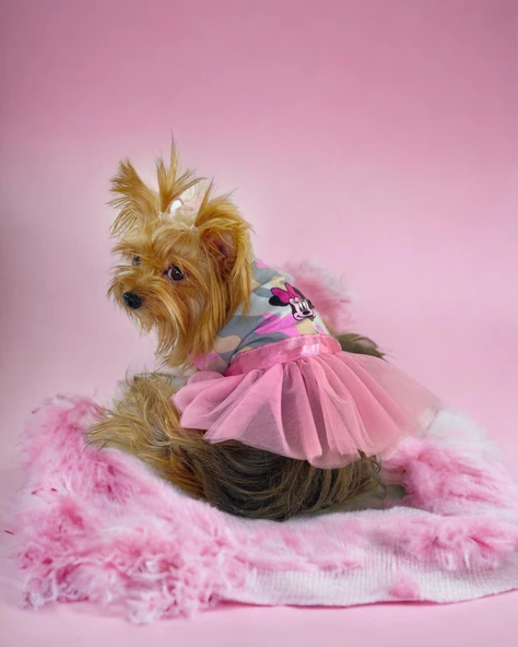 Pinky Minnie Tütülü Köpek Elbisesi, Kıyafeti Tutu - 3