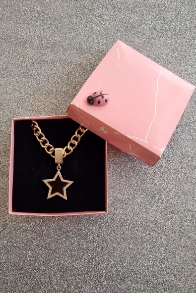 Kadın Siyah Yıldız Zirkon Taşlı Çağla Şikel Çelik Kolye - 3