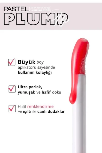 Plump Up Extra Hydrating Plumping Gloss - Dolgunlaştıran Dudak Parlatıcısı 204 Spicy Sweet - 4
