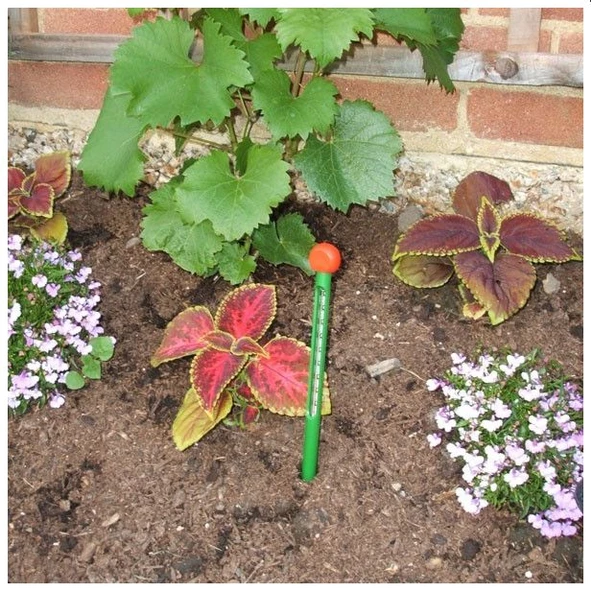 TFA Toprak Termometresi - 4