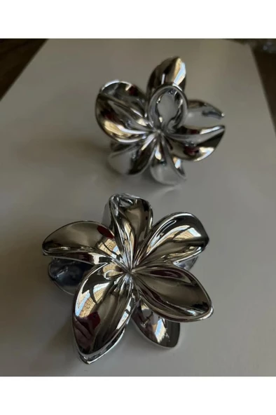 akrilik parlak büyük 2 lı lotus madal toka set 8CM (renk seçiniz) gri gold - 10