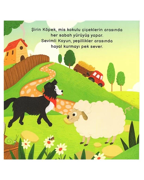 Merakımdan Soruyorum Çiftlik - 2