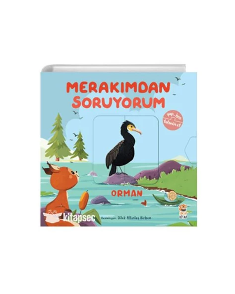 Merakımdan Soruyorum Orman