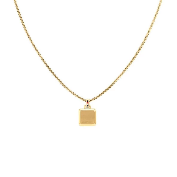 Tommy Hilfiger THJ2790544 Erkek Kolye