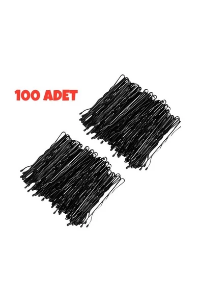 100 Adet Kaliteli Ucu Toplu Siyah Tel Toka - 2