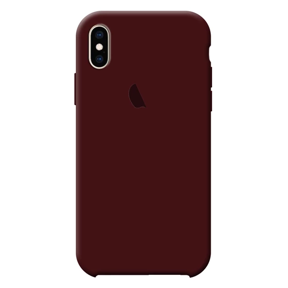 Apple Iphone X / XS Silikon Lansman Kılıf - 10