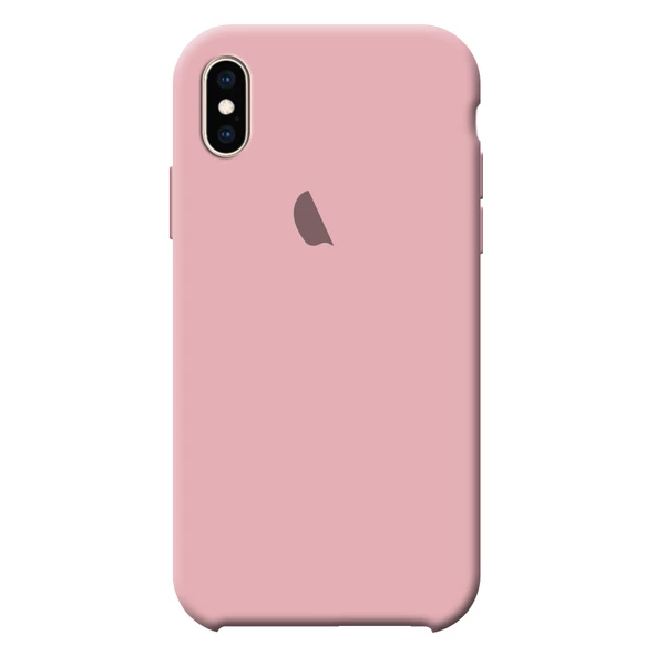 Apple Iphone X / XS Silikon Lansman Kılıf - 9