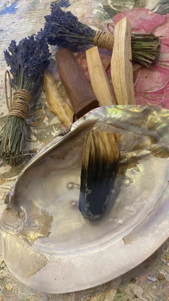 Pala Santo Doğal Tütsülük İstiridye Midye Kabuğu - Resim 6